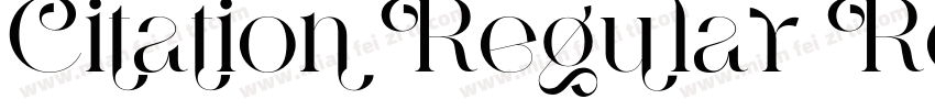 Citation Regular Reg字体转换